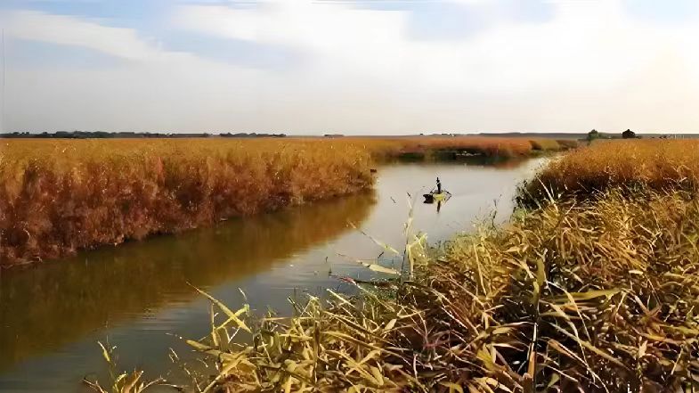 履帶式雙節森林草原(蘆葦)消防滅火全地形車
